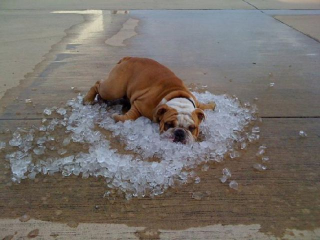 When_scorching_heat_comes_640_18 When_scorching_heat_comes_640_18