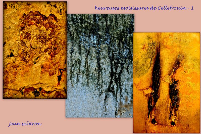 Moisissures 1