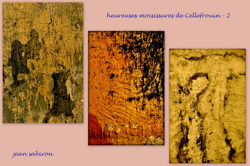 Moisissures 2