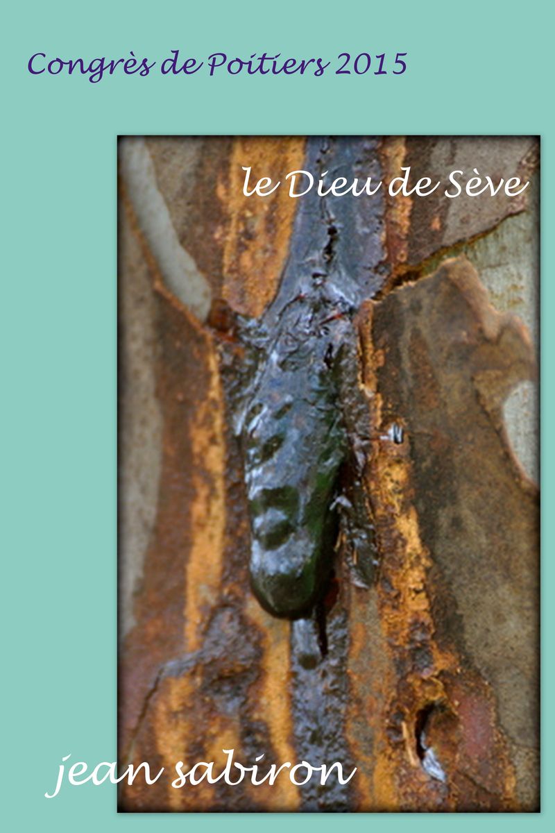 Dieu de Sève 2